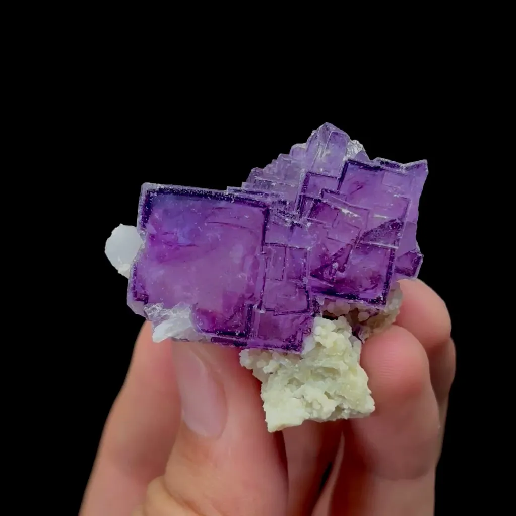 specimen video