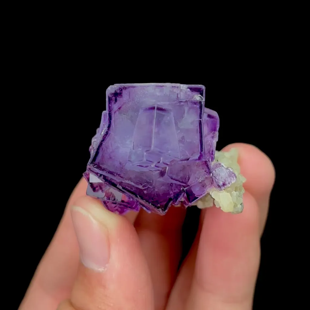 specimen video