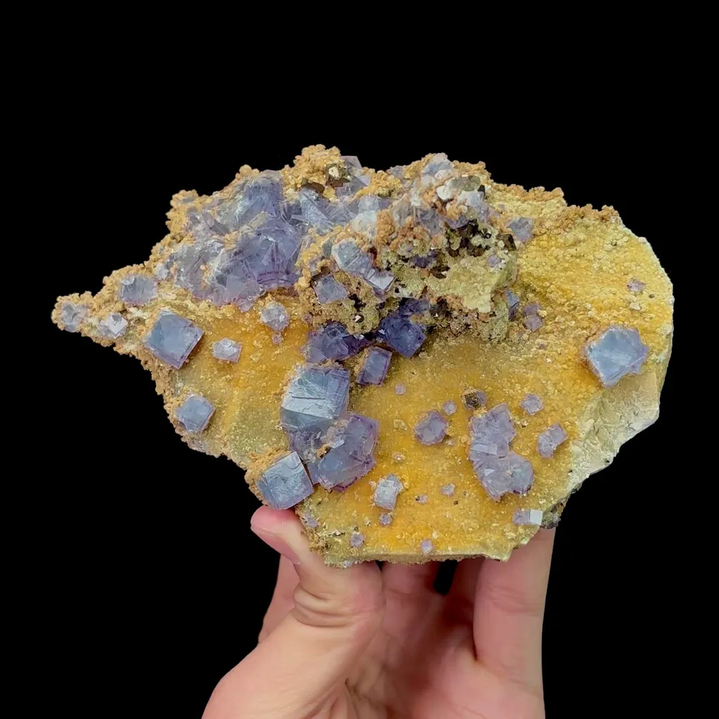 specimen video