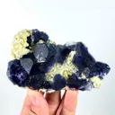 specimen video