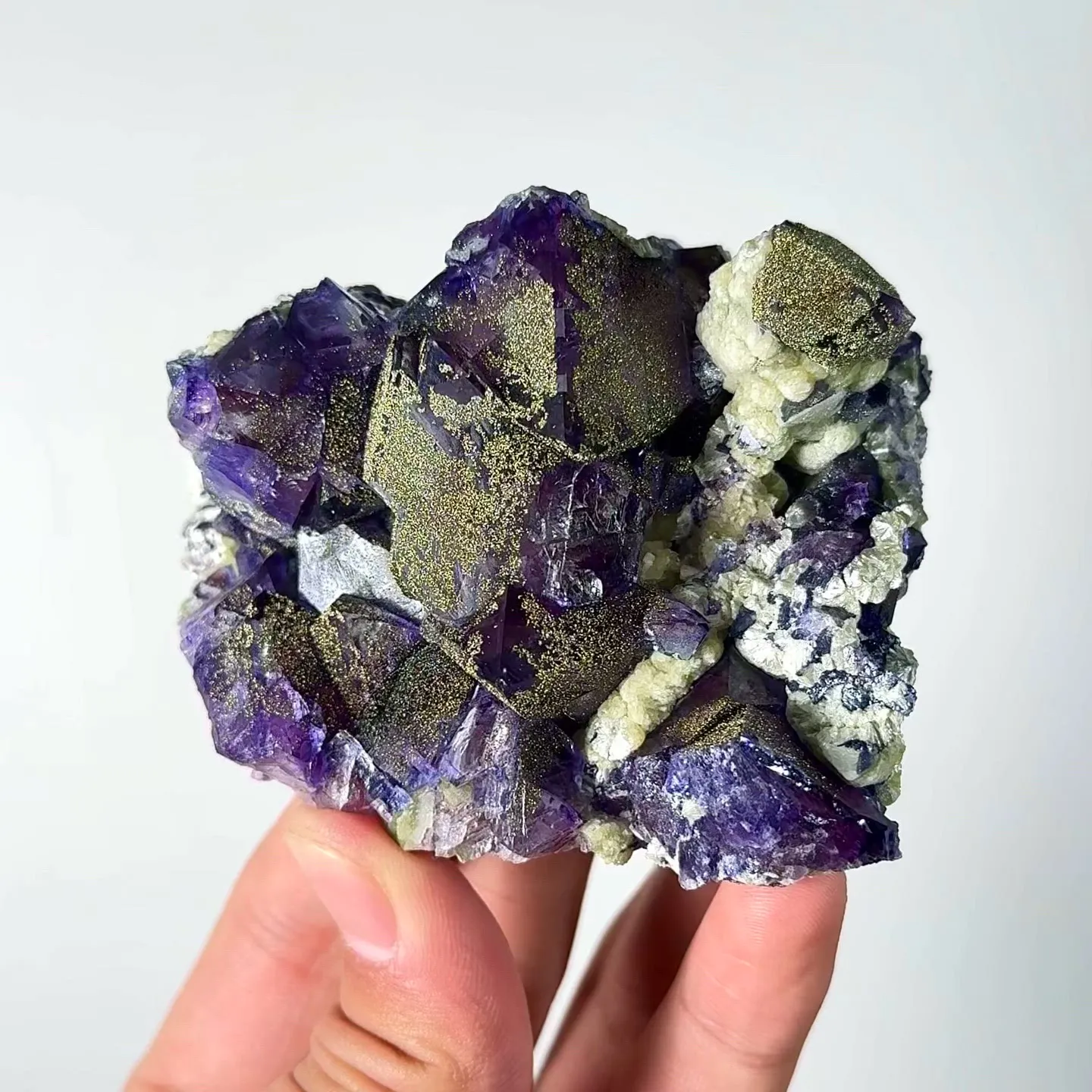 specimen video