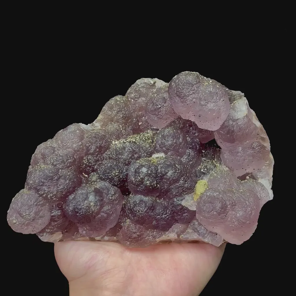 specimen video