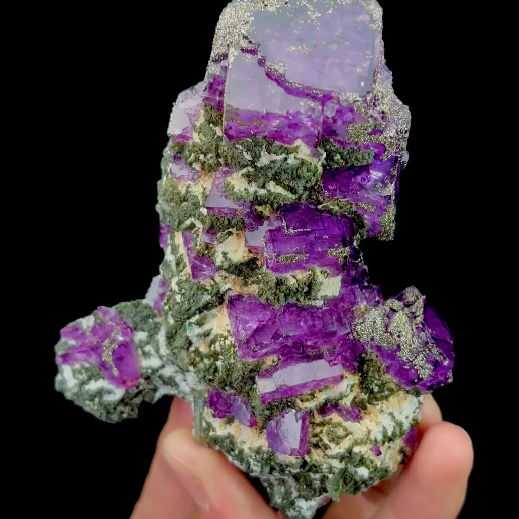 specimen video