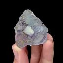 Natural Purple Fluorite and Pyrite Mineral Specimen,High Quality Specimen,YAO GANG XIAN,HUNAN,CHINA(35*40*30mm) - image 3