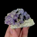 Natural Purple Fluorite and Pyrite Mineral Specimen,High Quality Specimen,YINDU,INNER MONGOLIA,CHINA(68*52*49mm) - image 1