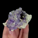 Natural Purple Fluorite and Pyrite Mineral Specimen,High Quality Specimen,YINDU,INNER MONGOLIA,CHINA(68*52*49mm) - image 2