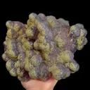 specimen video