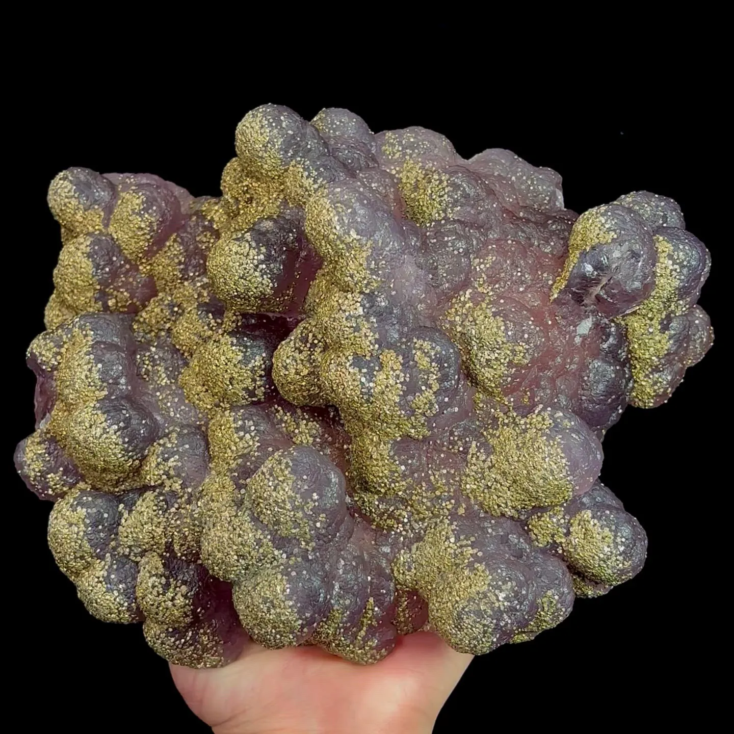 specimen video