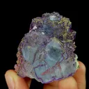 Natural Purple Fluorite and Pyrite, Mineral Specimen:Yaogangxian,Hunan (40*50*30MM) - image 4