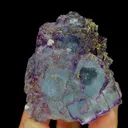 specimen video