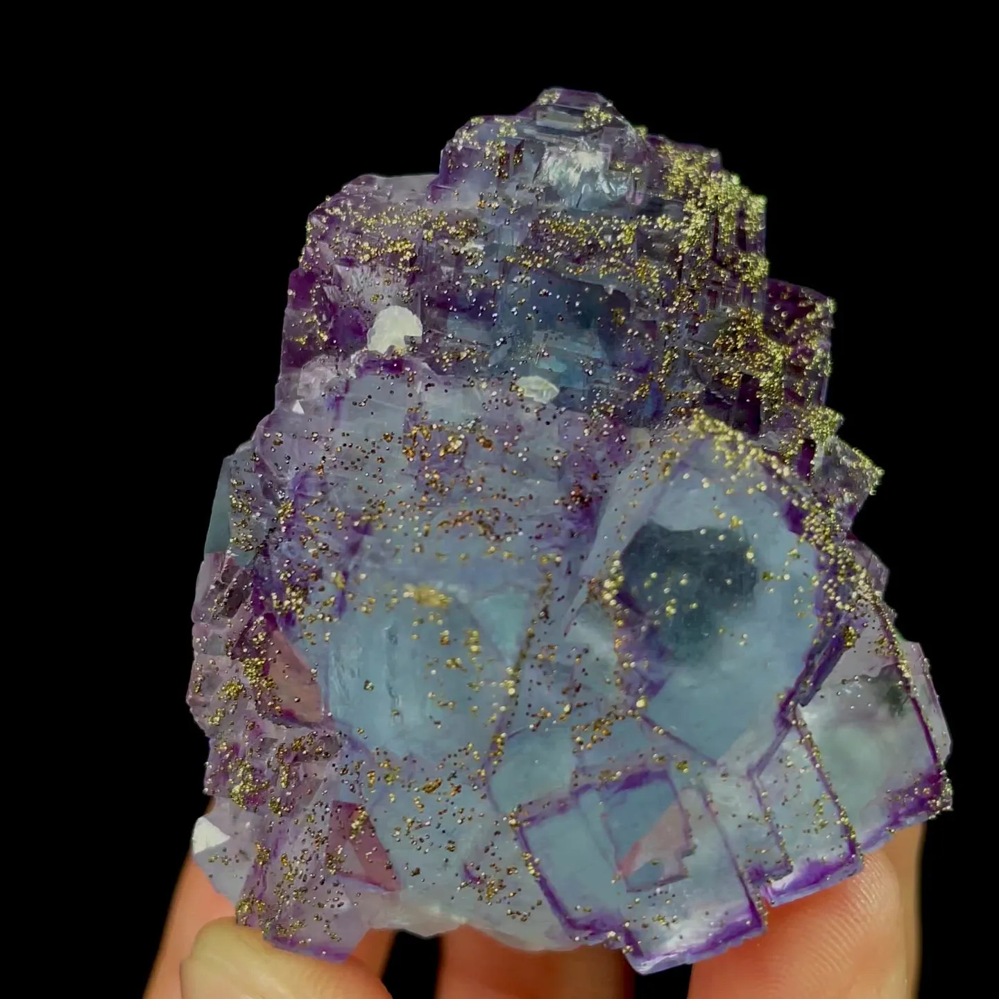 specimen video