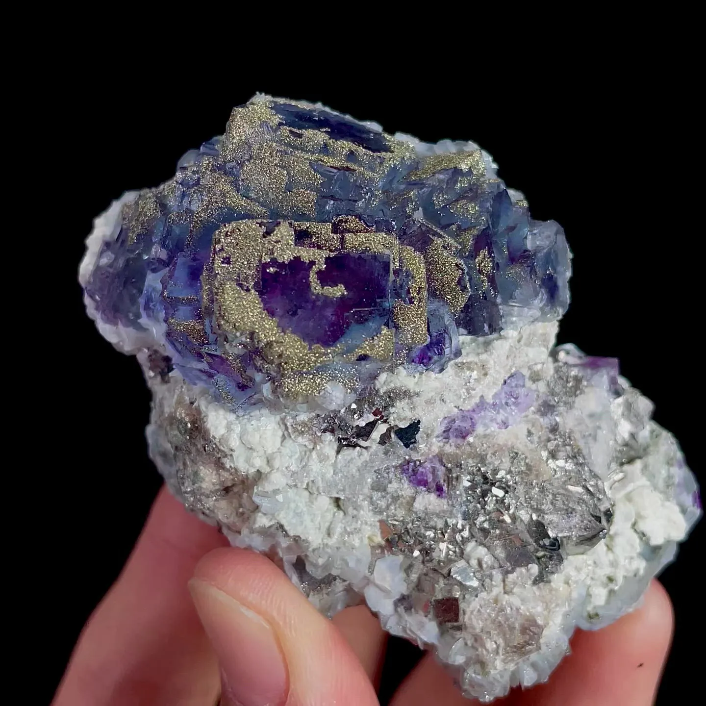 specimen video