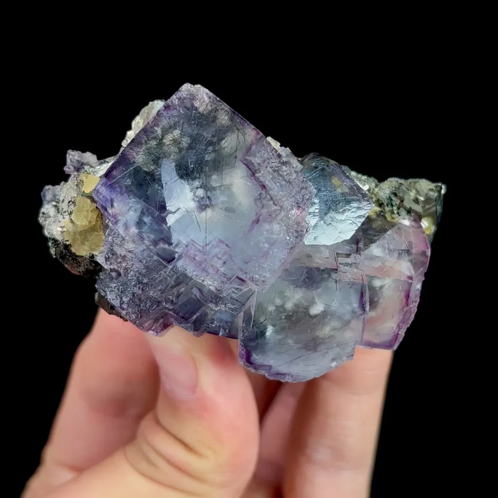 specimen video