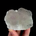 specimen video