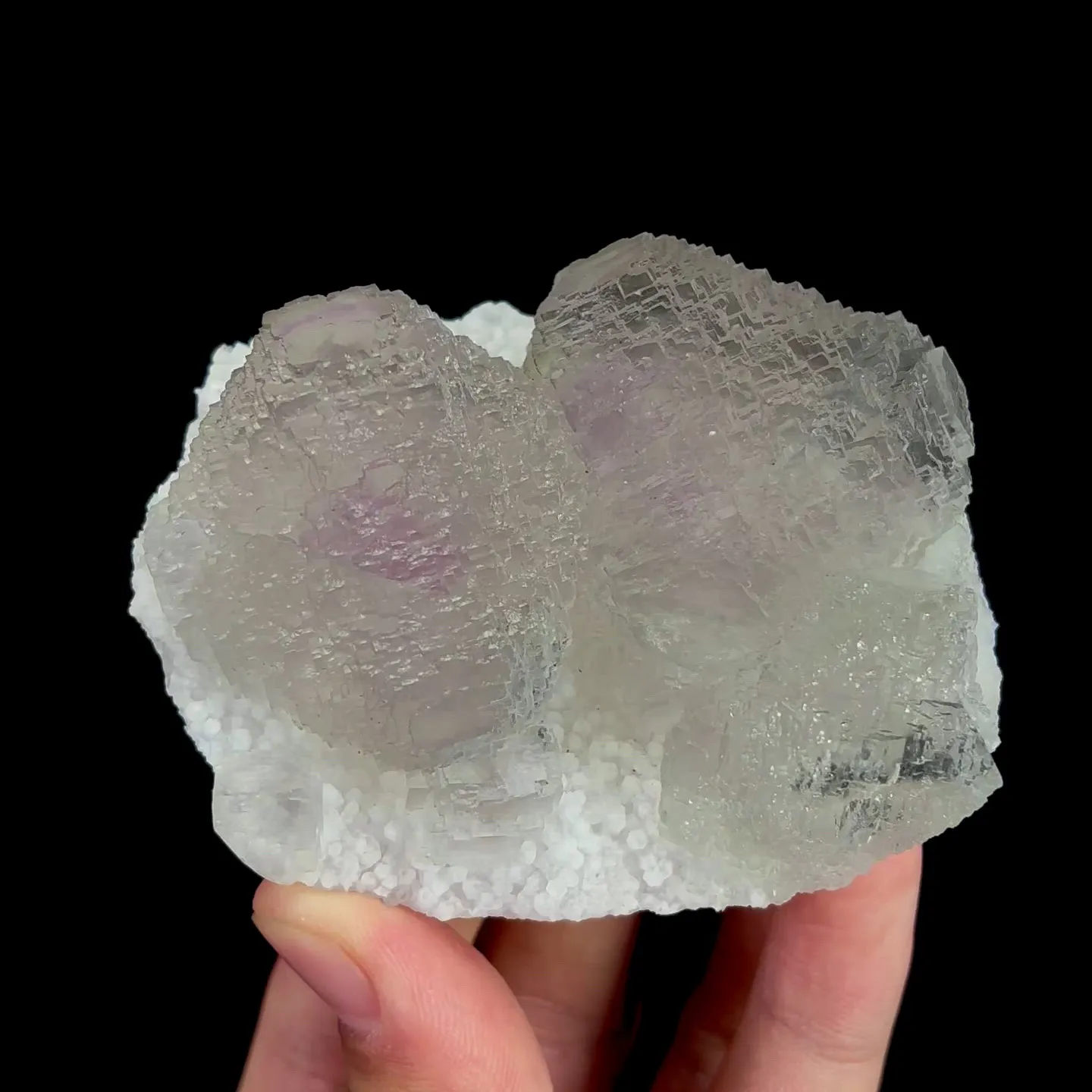 specimen video