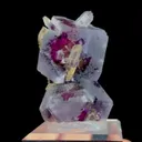 specimen video