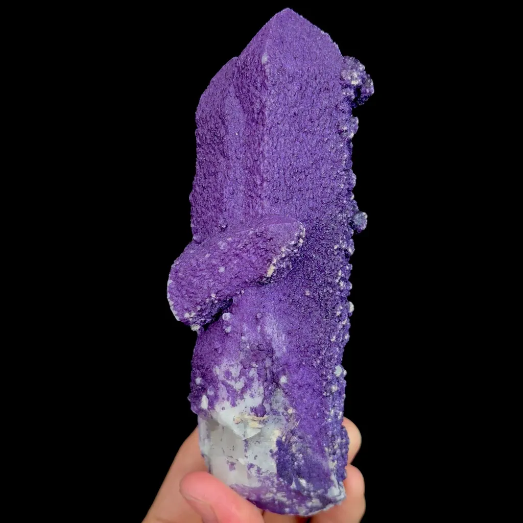 specimen video