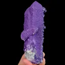 specimen video