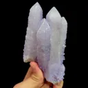 specimen video