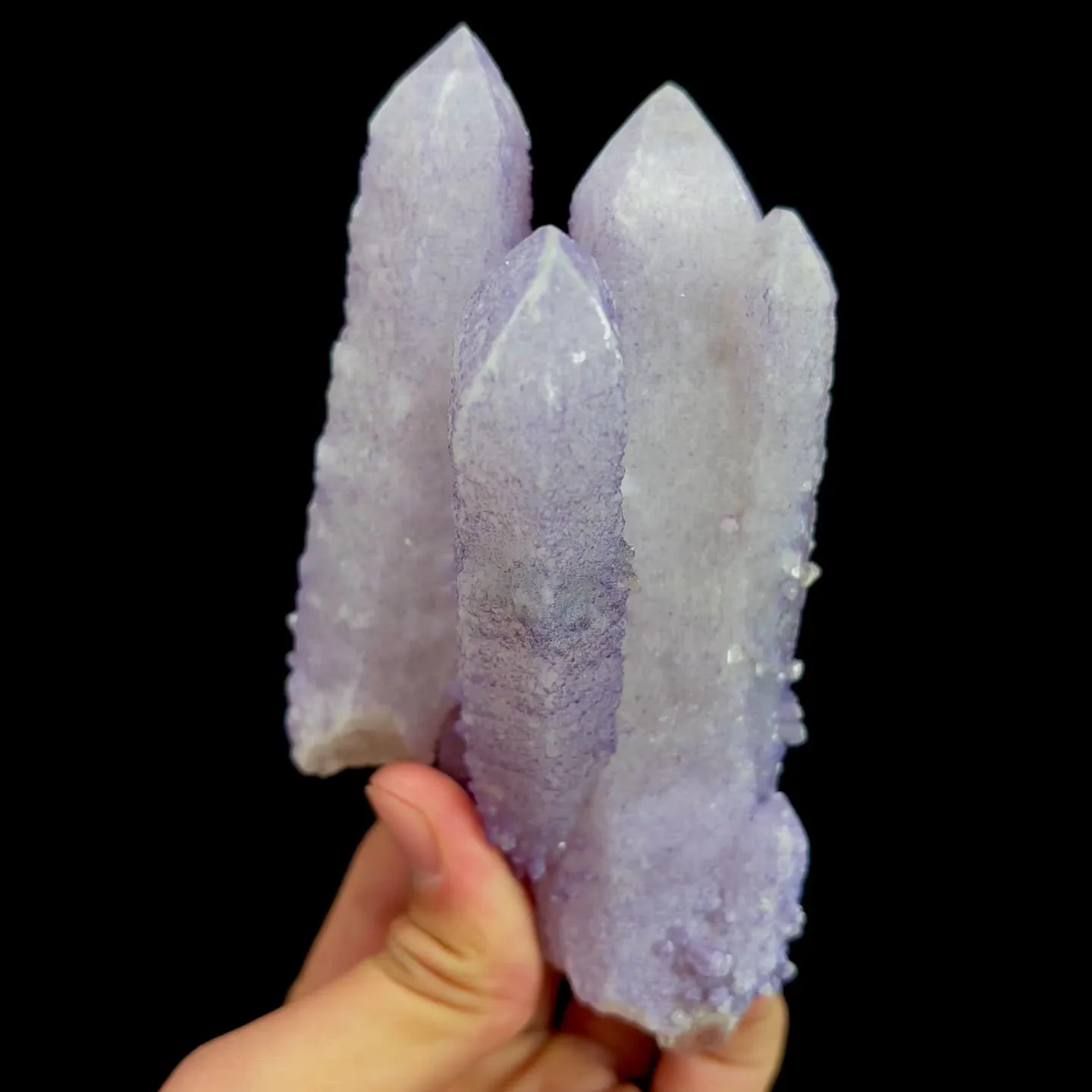 specimen video