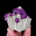 Natural Purple Fluorite and Quartz, Mineral Specimen: Leipingkuang,Chenzhou (60*55*20MM) - image 6