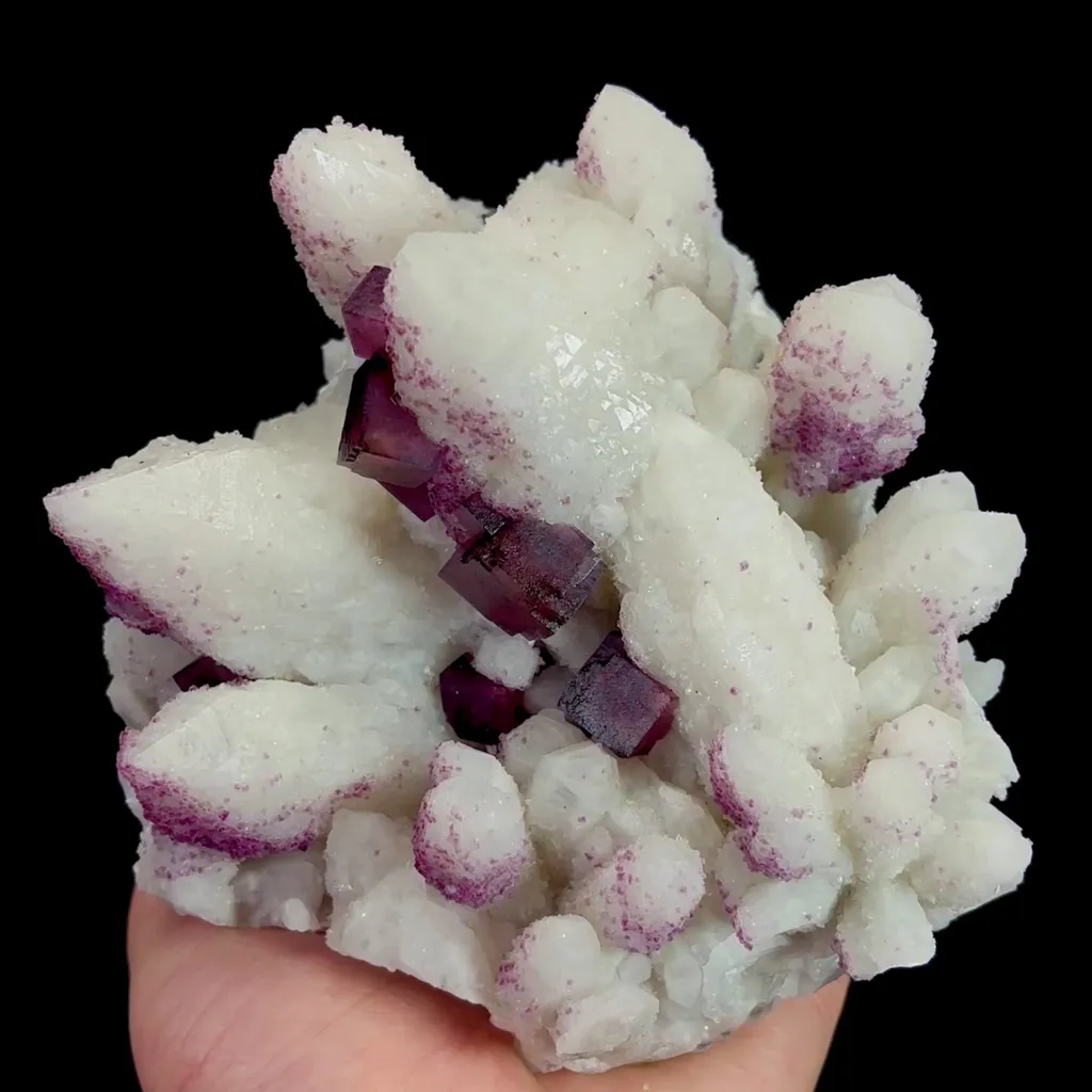 specimen video