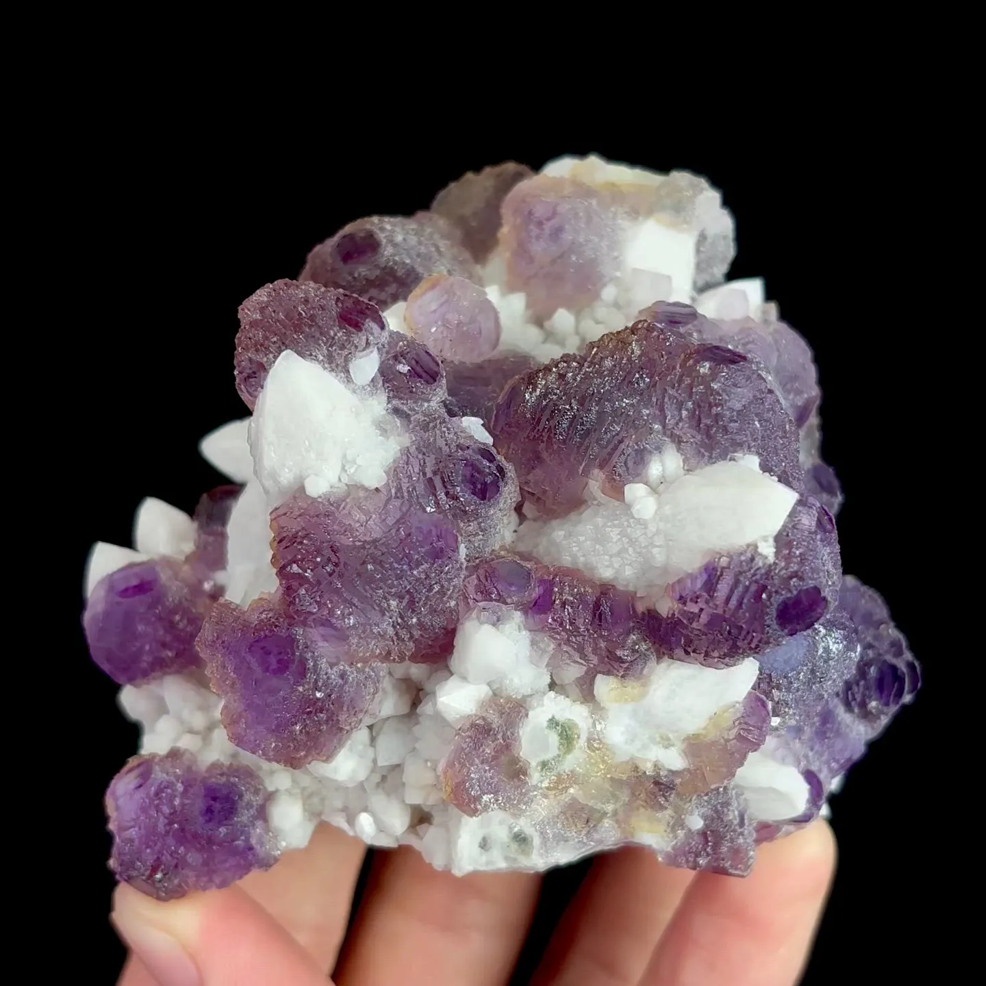 specimen video