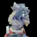specimen video