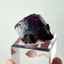 specimen video