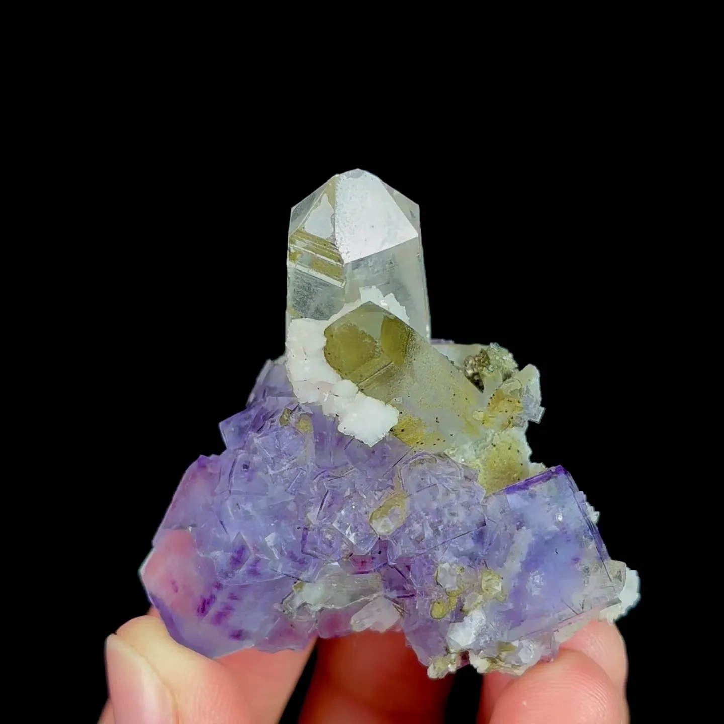 specimen video