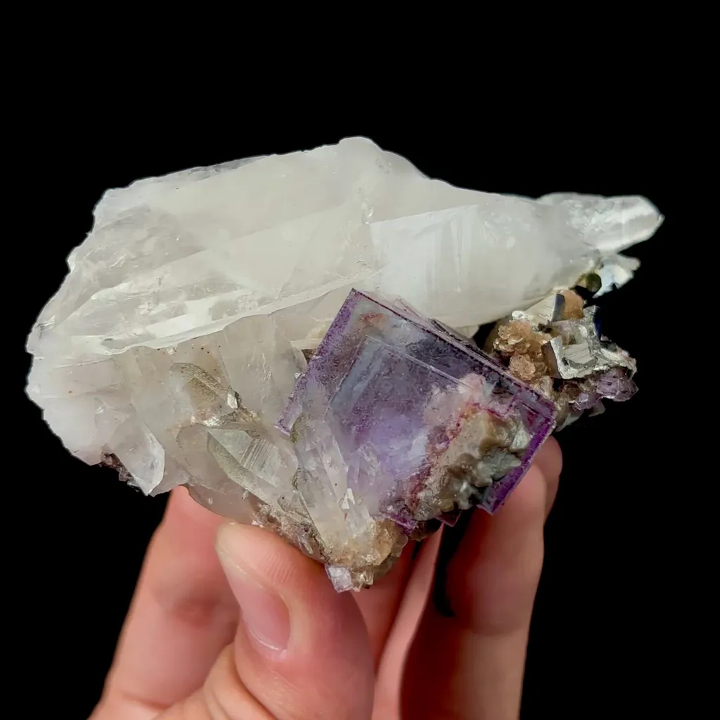 specimen video