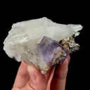 specimen video