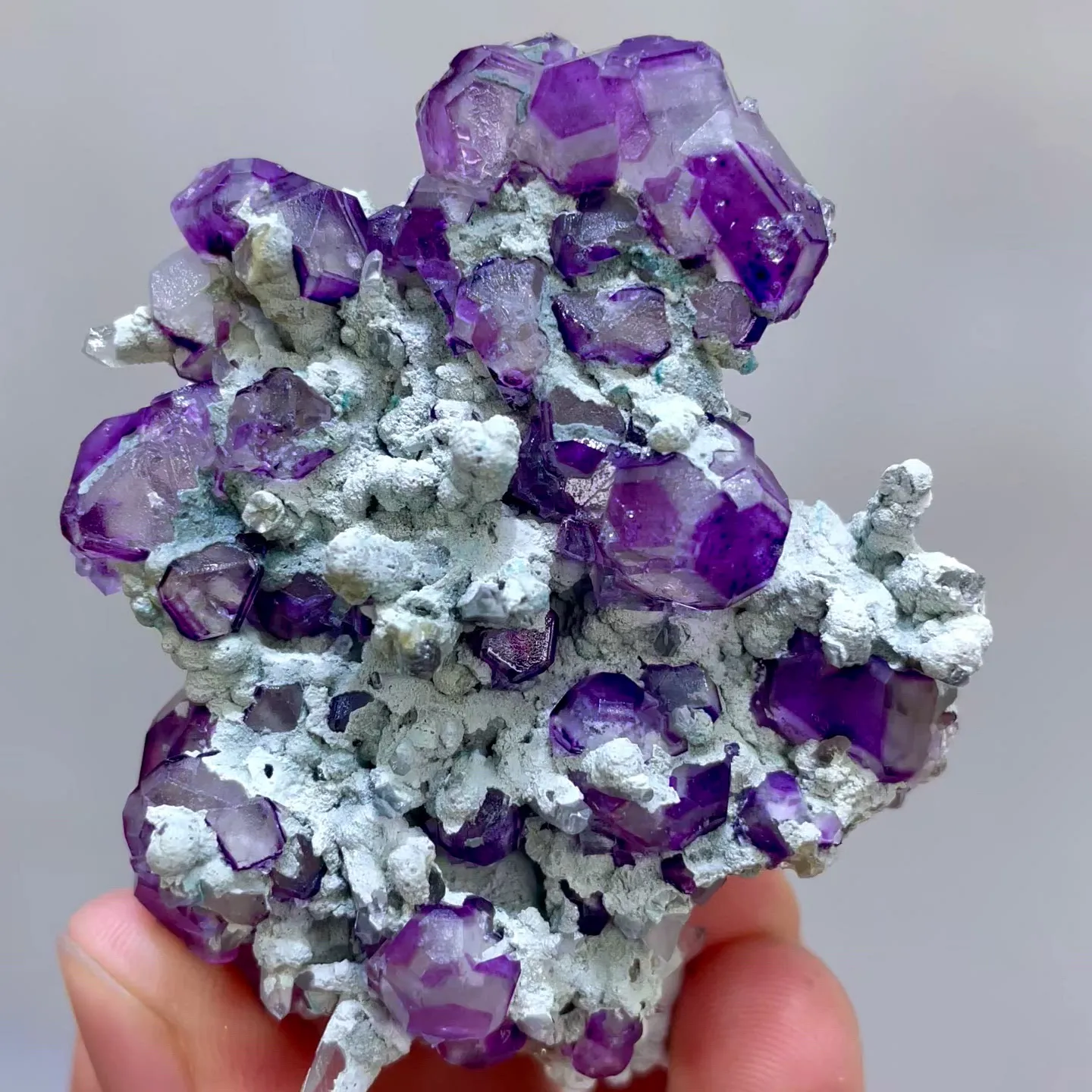specimen video