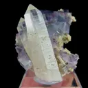 specimen video