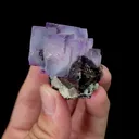 Natural Purple Fluorite and Scheelite Mineral Specimen,High Quality Specimen,YAO GANG XIAN,HUNAN,CHINA(30*45*25mm) - image 2