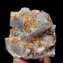 specimen video