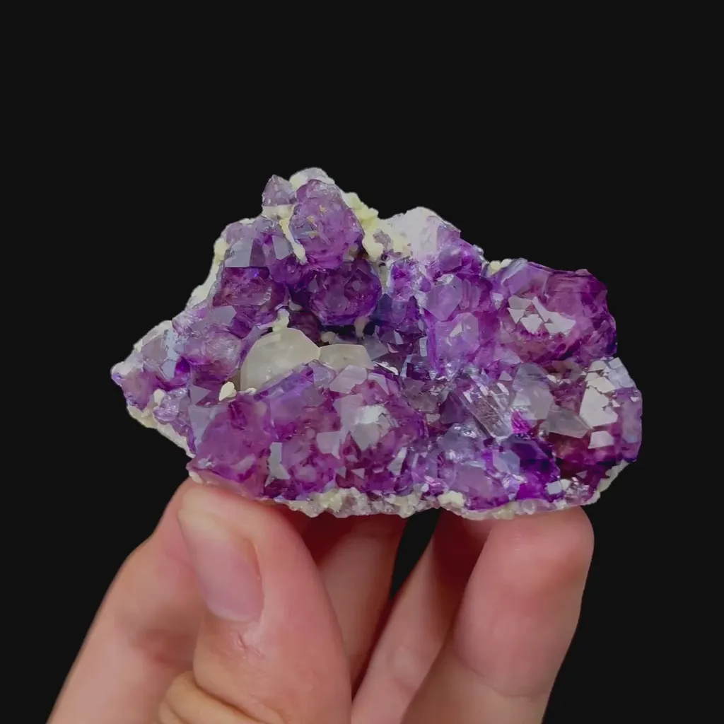 specimen video