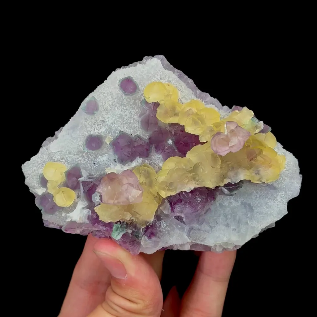 specimen video