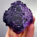 specimen video