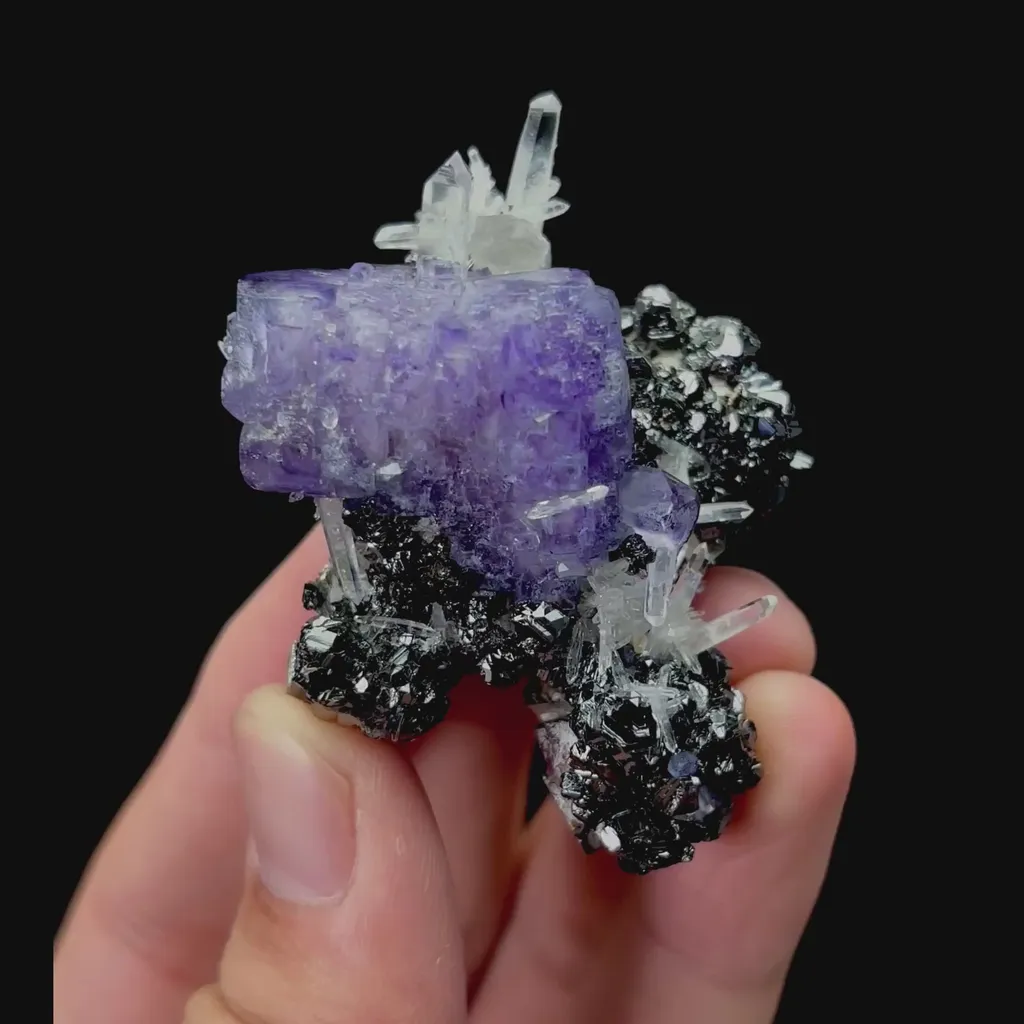 specimen video