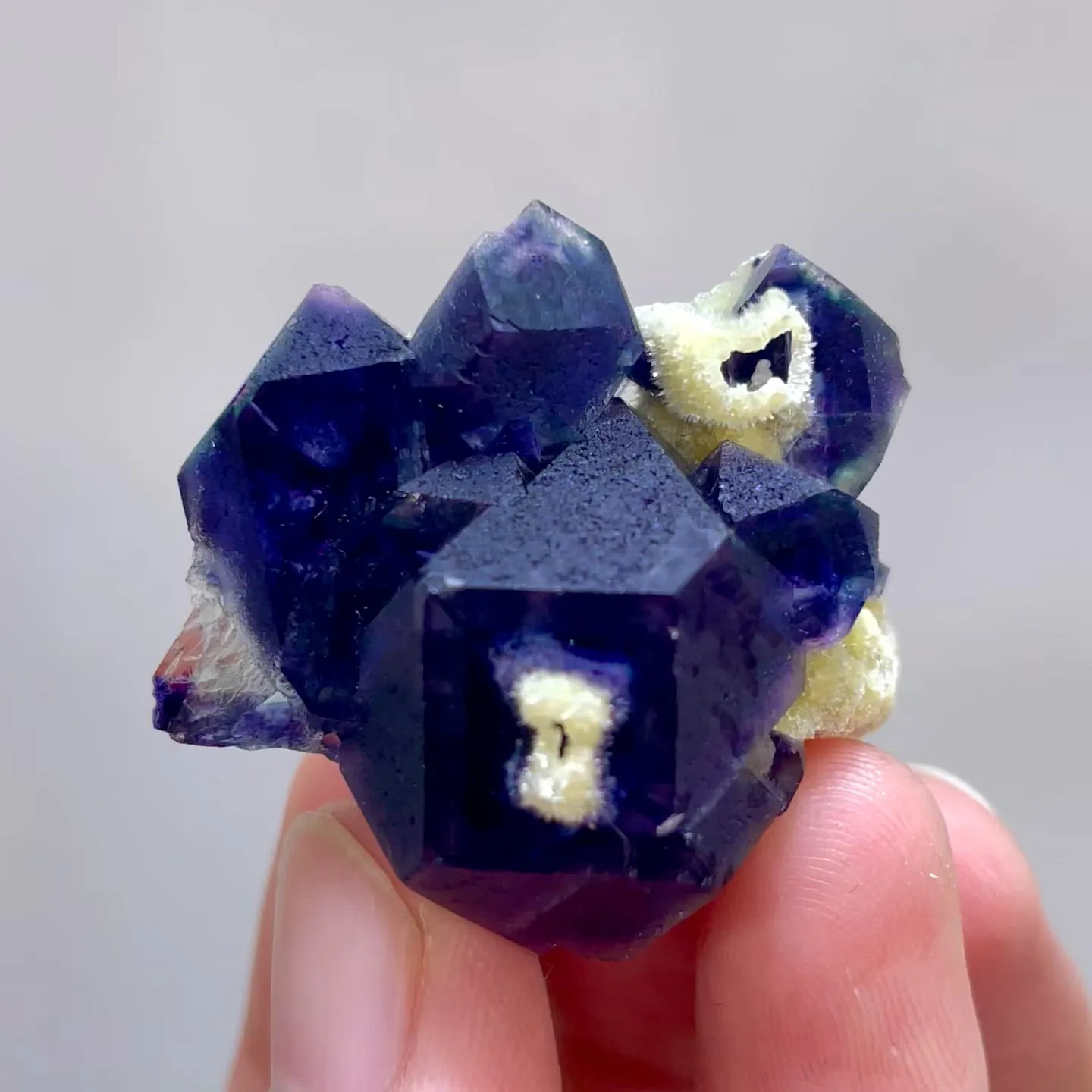 specimen video