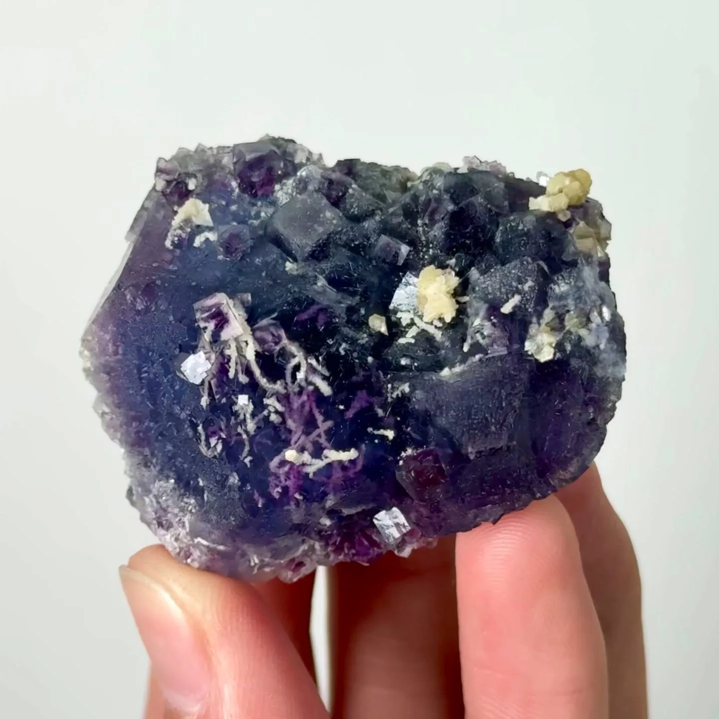 specimen video