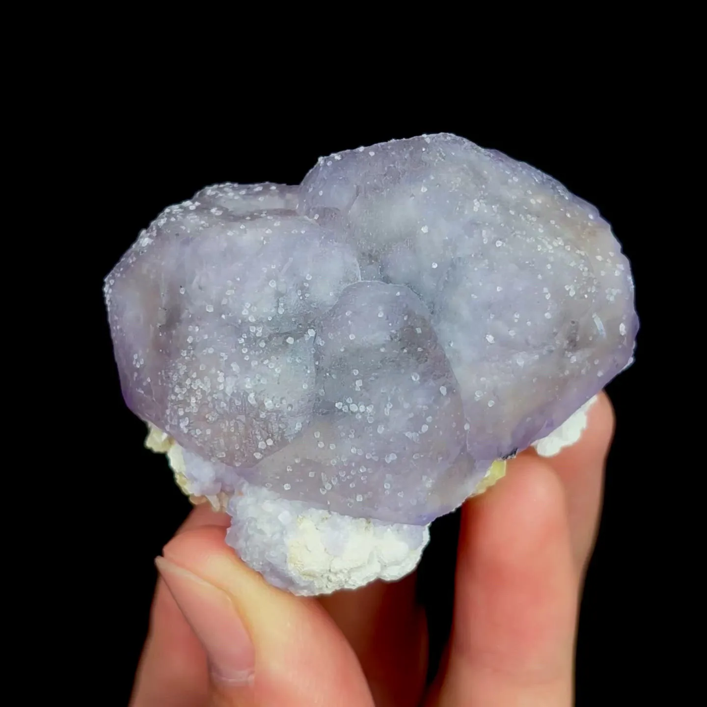 specimen video