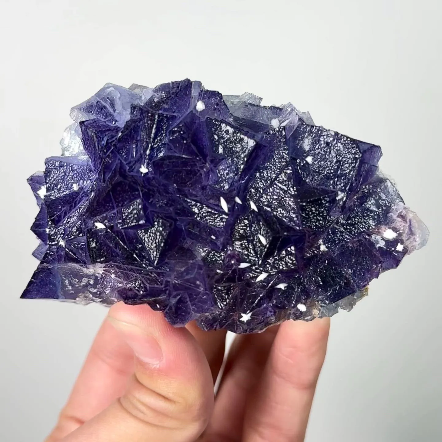 specimen video