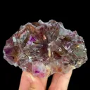 specimen video