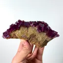 specimen video