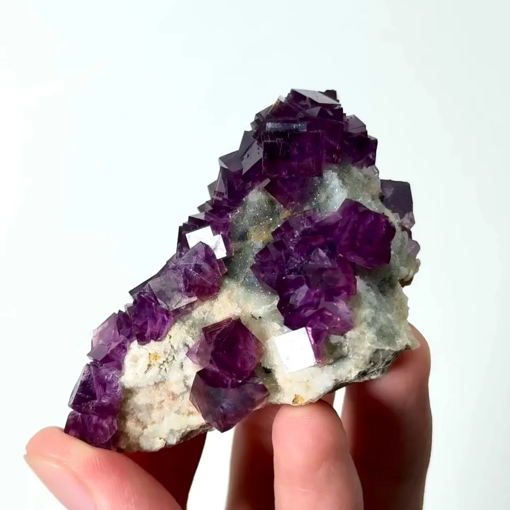 specimen video