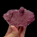 specimen video