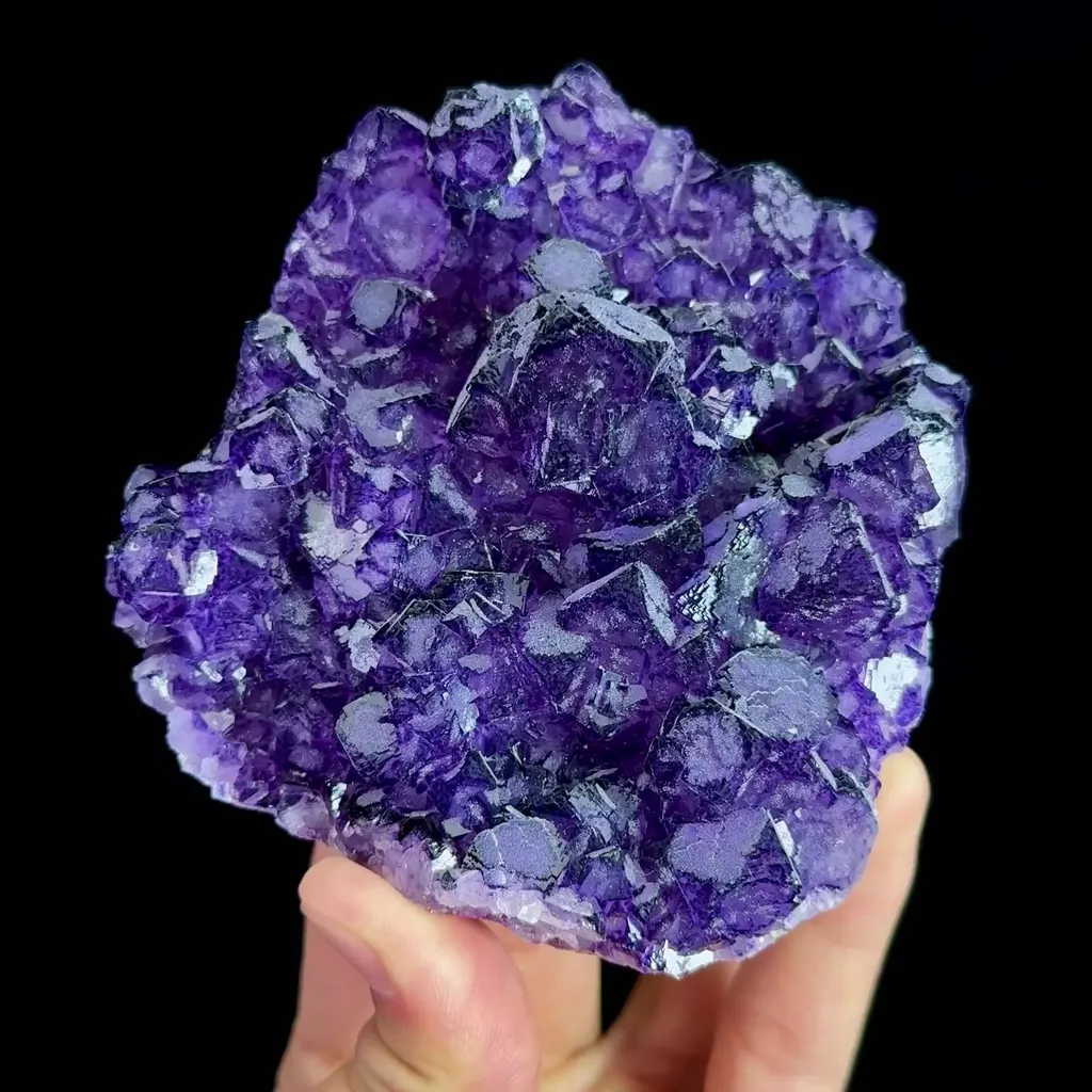 specimen video