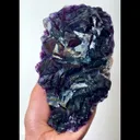 specimen video